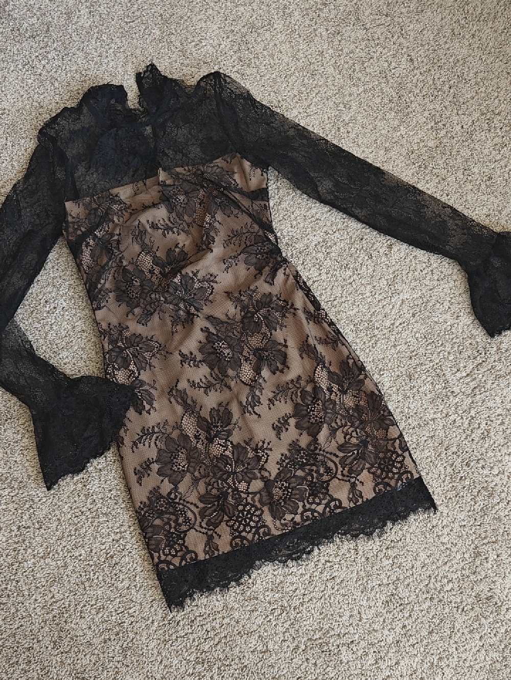 Cider Black Lace Long Sleeve Sheath Dress with Beige Underlay